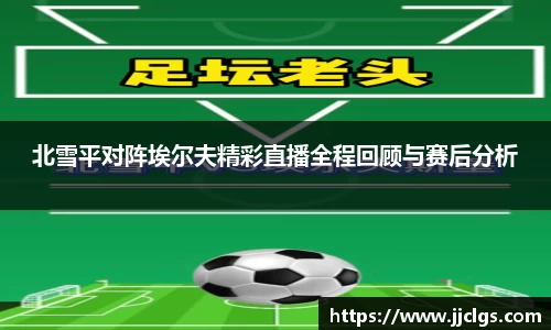 北雪平对阵埃尔夫精彩直播全程回顾与赛后分析